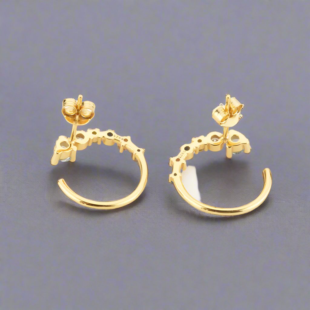 Women's Zircon Circle Earrings 